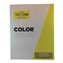 YELLOW Professional Color Farbkarte